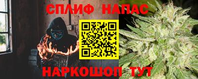 гидра Можга