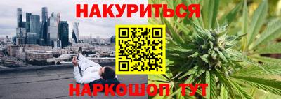 гидра Можга